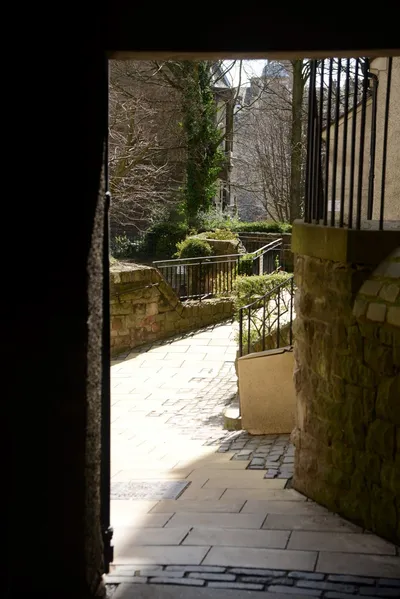 DSC_7349 (Large).JPG